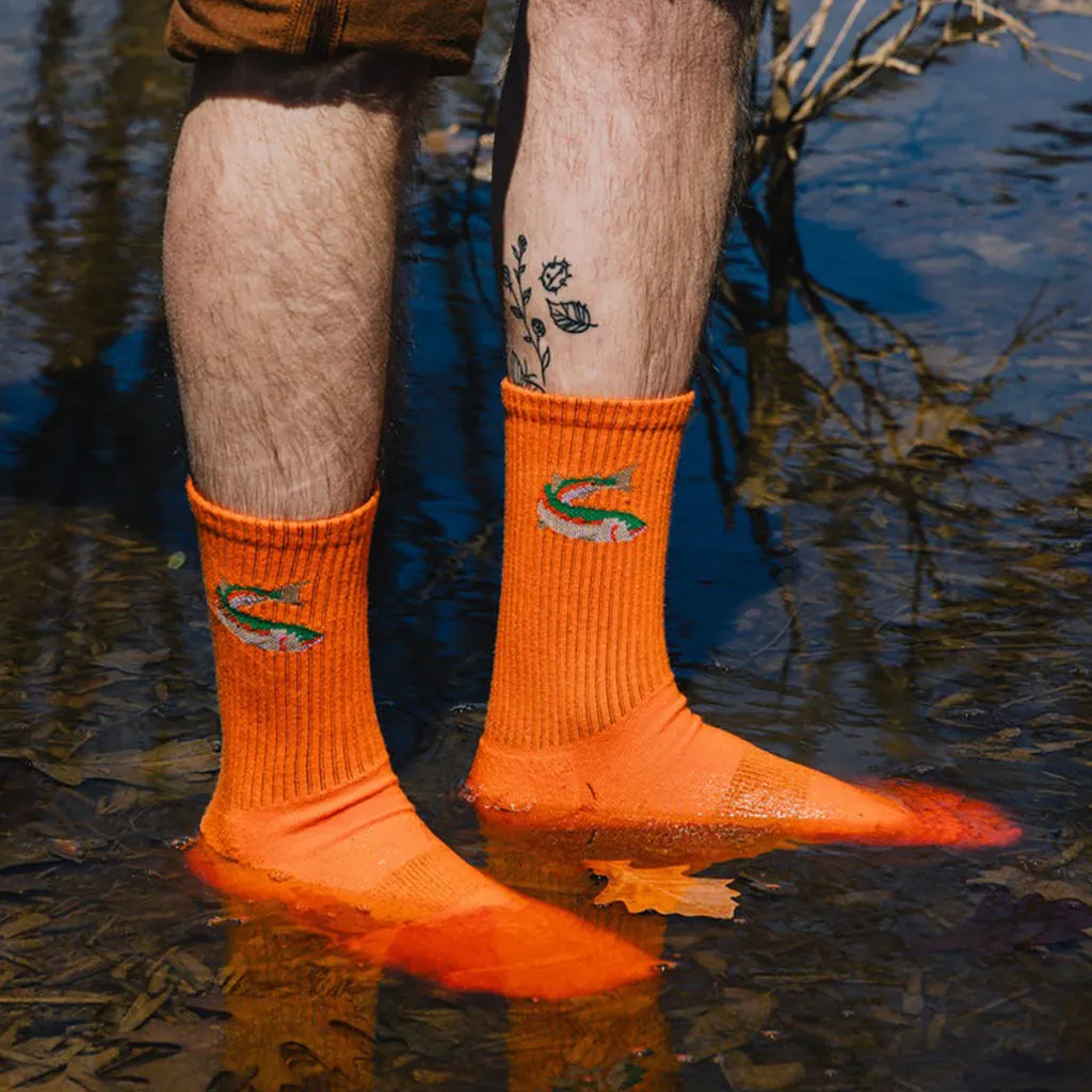 Fish Out of Water Sock