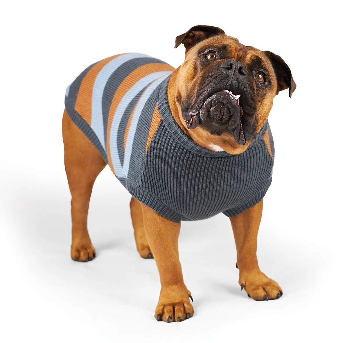 Kazoo Apparel Bumble Dog Jumper Seagrass Extra Extra Small ***