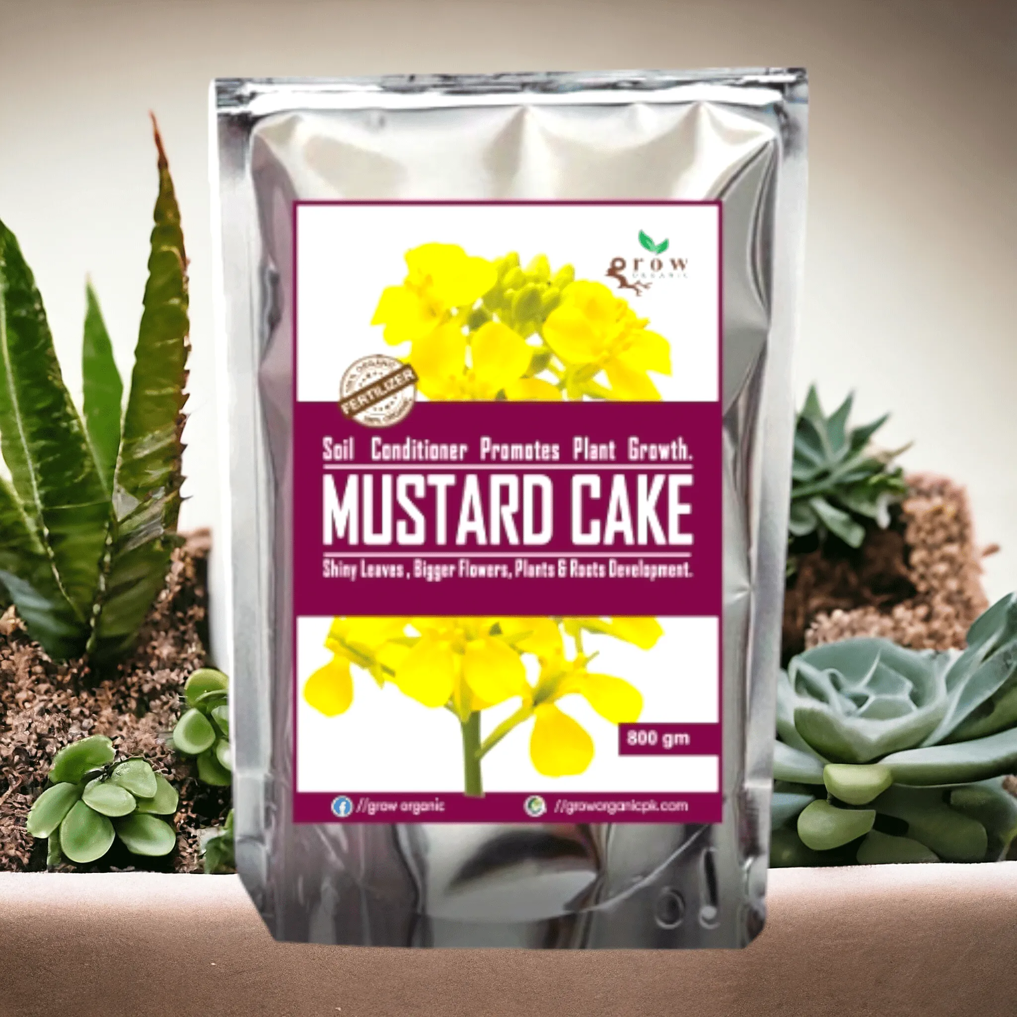 Mustard Cake